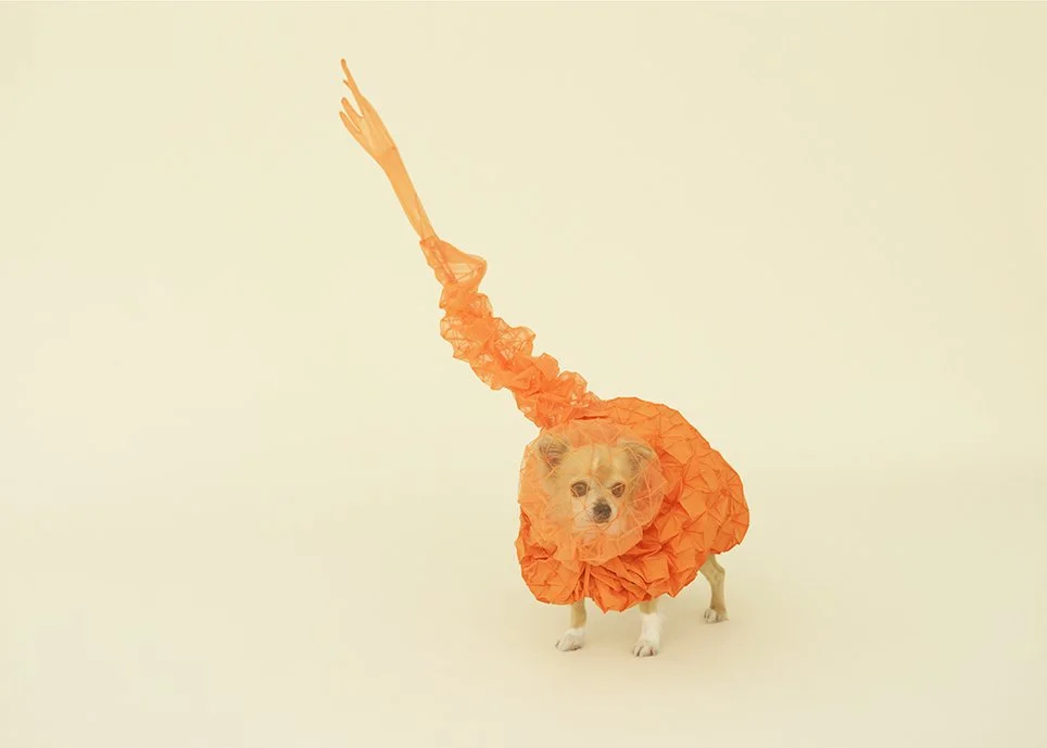 Chihuahua Cloud — Reiser+Umemoto, RUR Architecture DPC